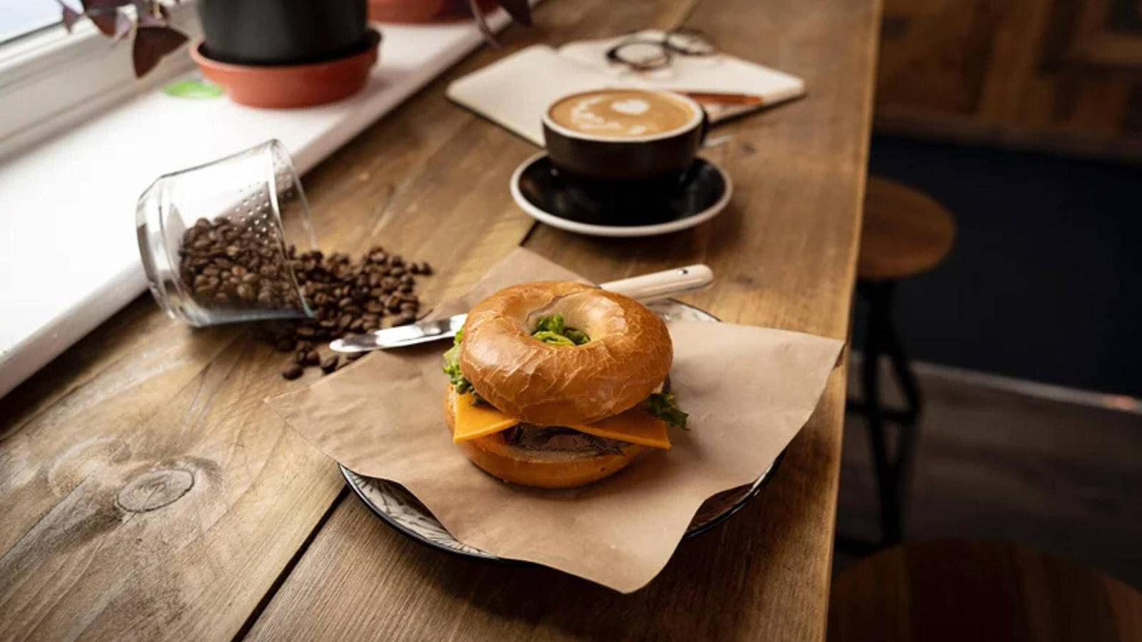 House Of Chaplin, Bude